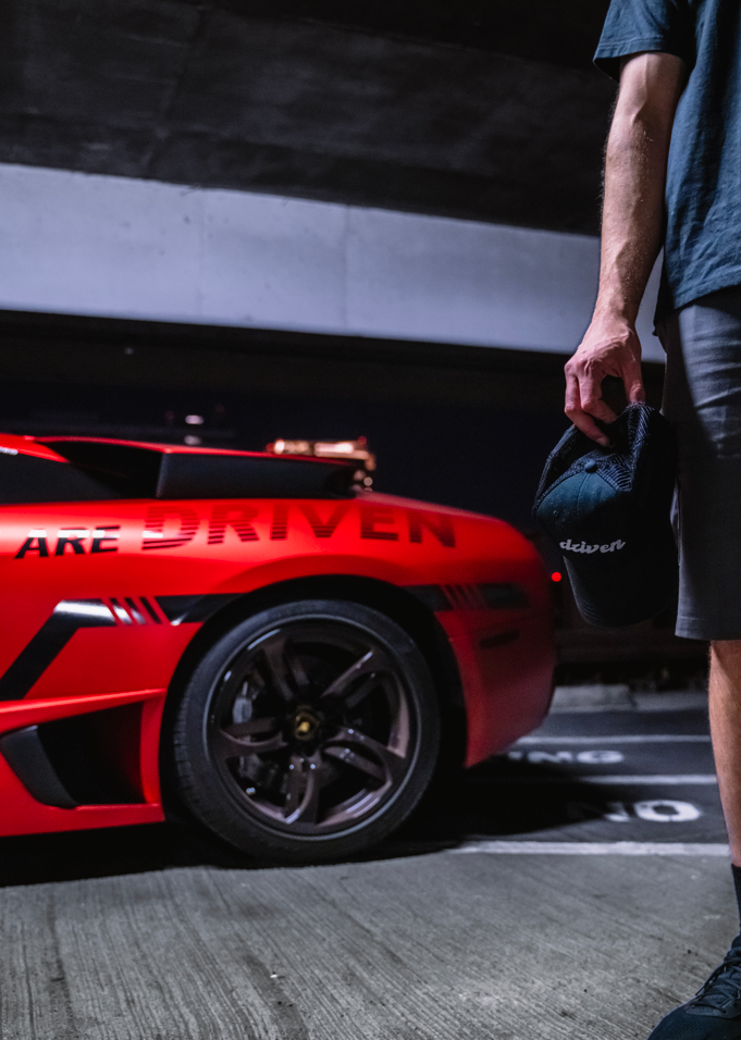 Driven Embroidered Hat